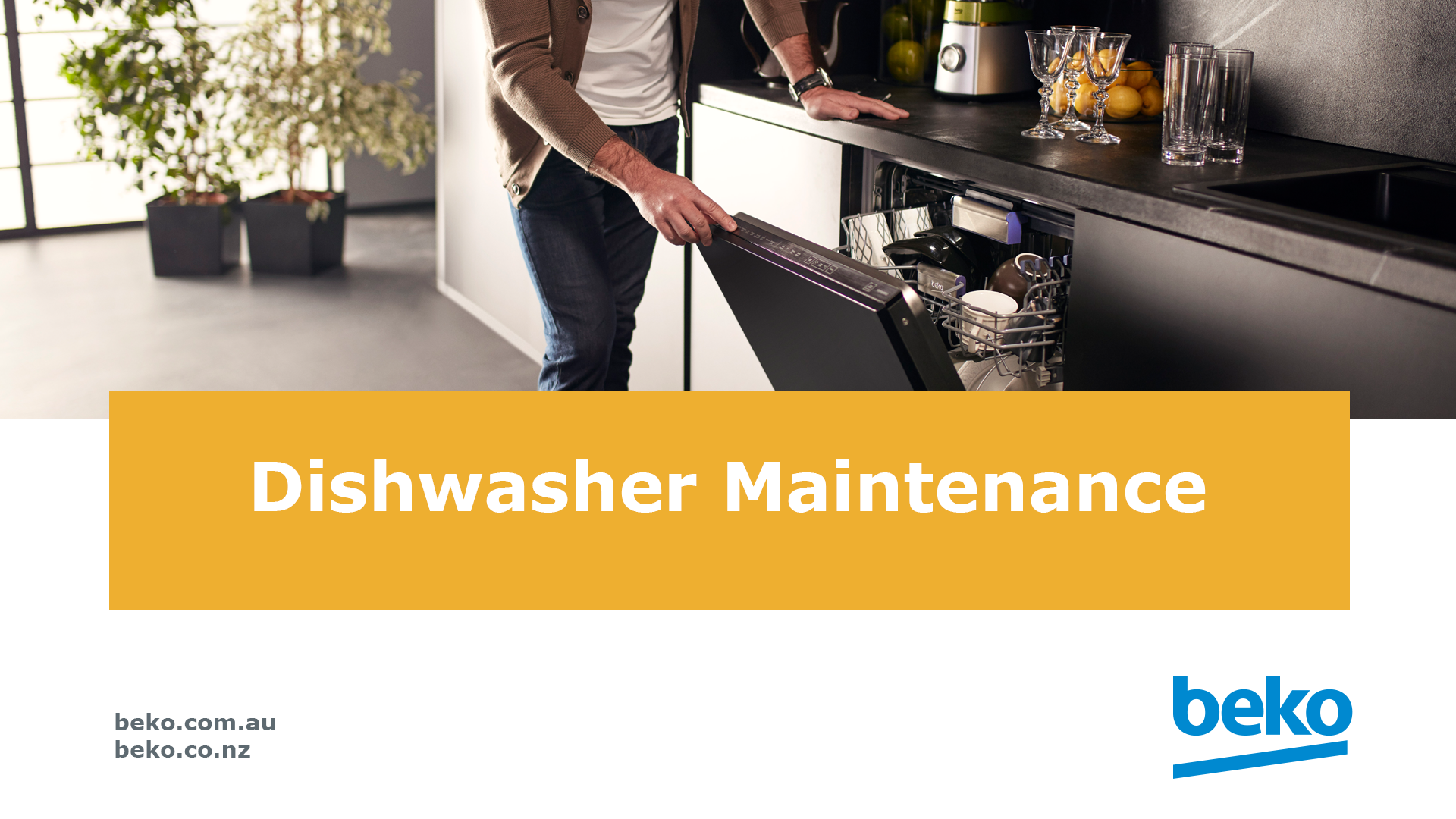 Dishwasher Maintenance Video